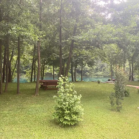 Unapark * Krakovo